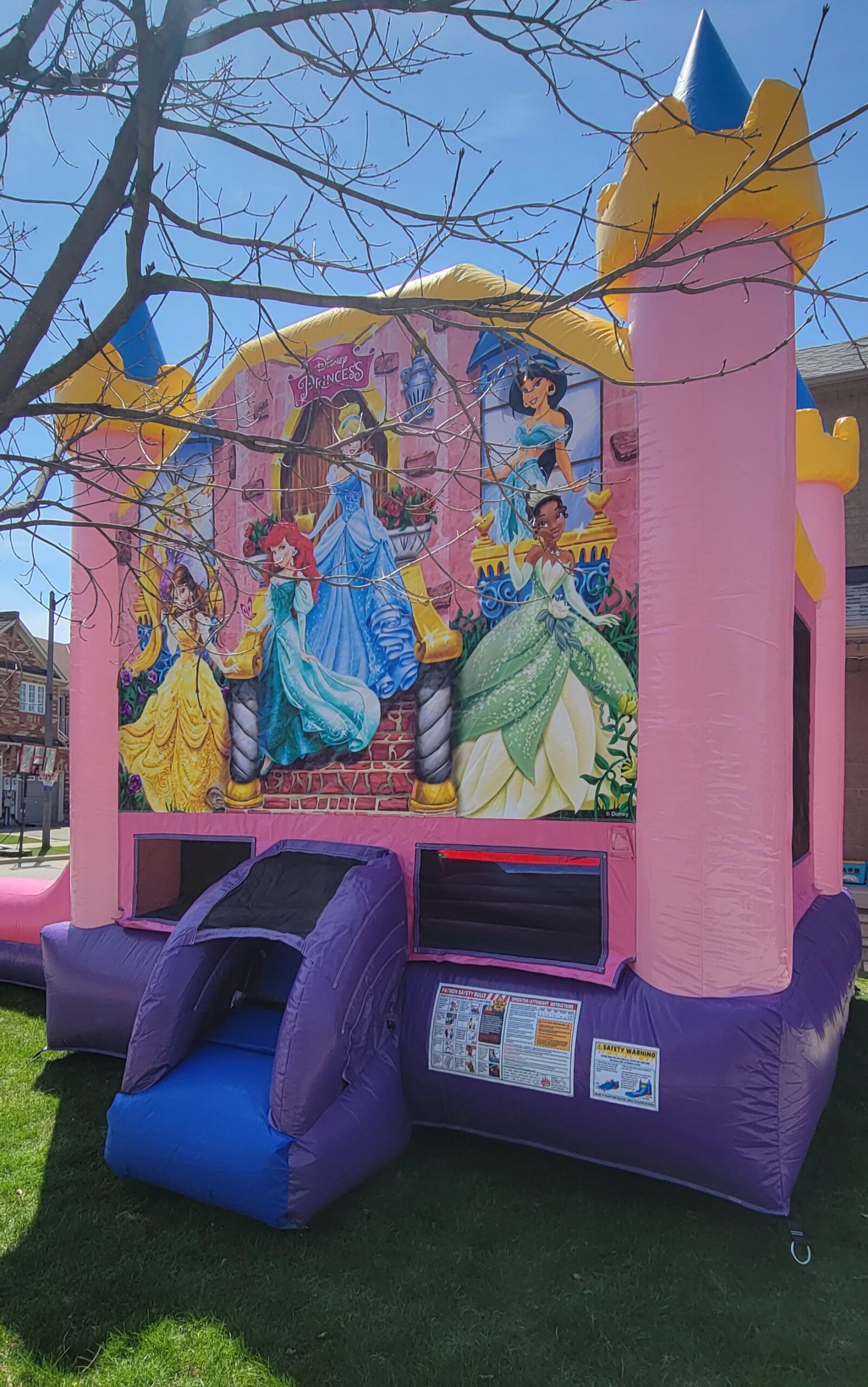Amazing Jumpers | Bounce Castle Rentals | A look at our castles Amazing Jumpers | Bounce Castle Rentals | A look at our castles